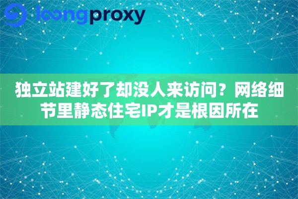 独立站建好了却没人来访问？网络细节里静态住宅IP才是根因所在