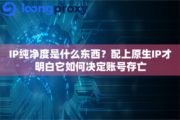 IP纯净度是什么东西？配上原生IP才明白它如何决定账号存亡