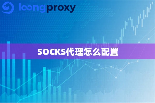 SOCKS代理怎么配置