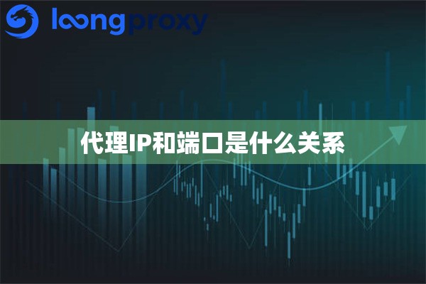 代理IP和端口是什么关系