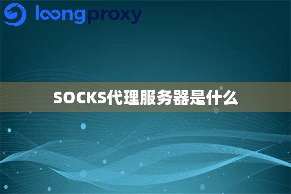 SOCKS代理服务器是什么