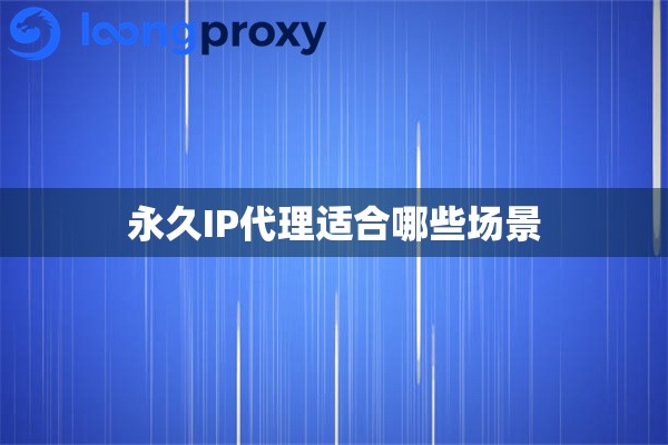 永久IP代理适合哪些场景 永久IP代理适合哪些场景