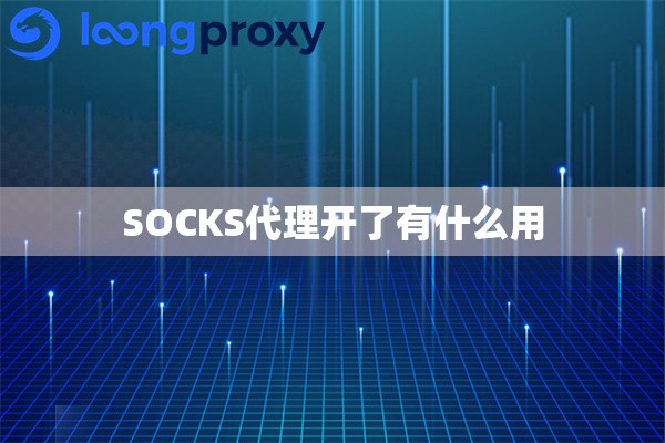 SOCKS代理开了有什么用