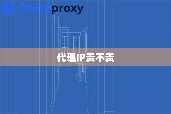 代理IP贵不贵