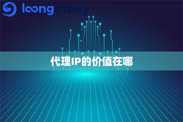 代理IP的价值在哪