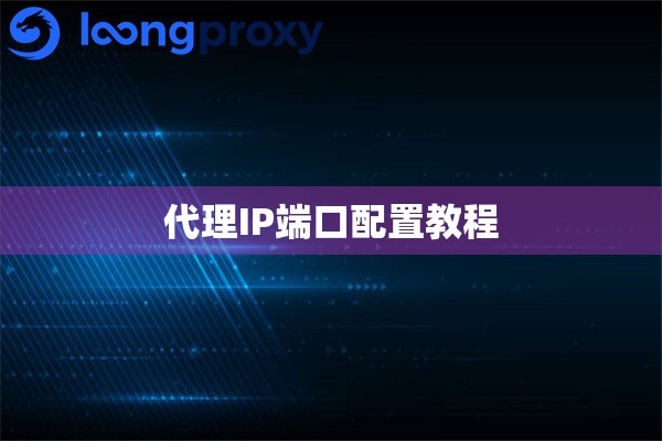 代理IP端口配置教程