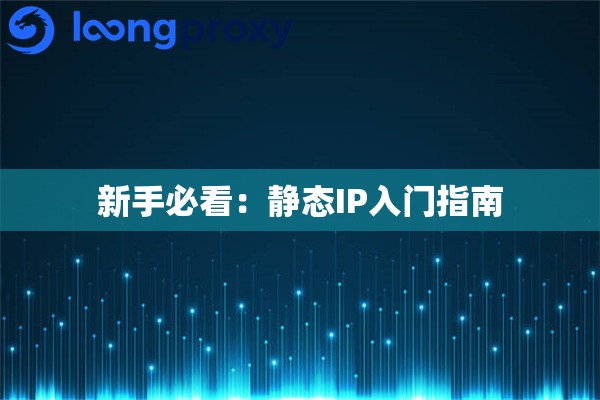新手必看：静态IP入门指南