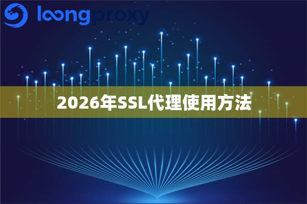 2026年SSL代理使用方法 2026年SSL代理使用方法