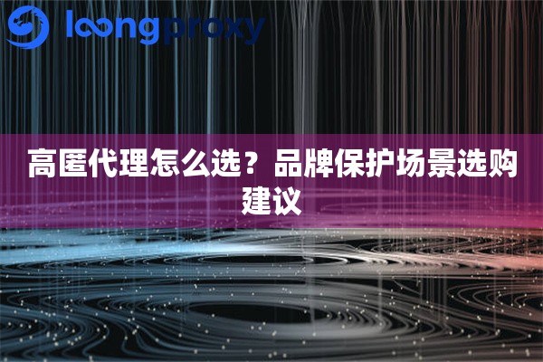 高匿代理怎么选?品牌保护场景选购建议 高匿代理怎么选?品牌保护场景选购建议