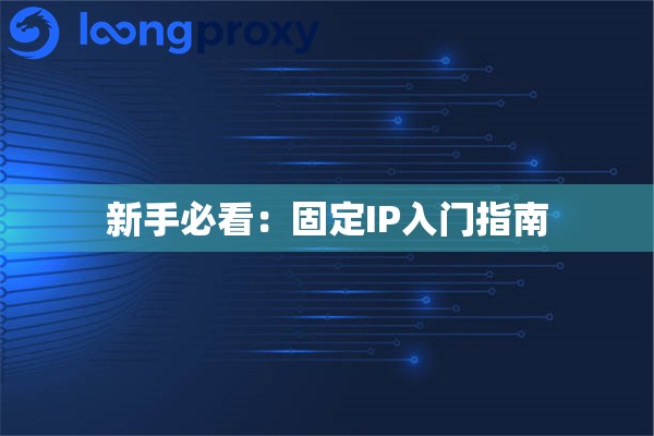 新手必看：固定IP入门指南