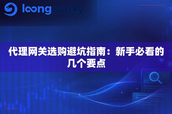 代理网关选购避坑指南:新手必看的几个要点 代理网关选购避坑指南:新手必看的几个要点