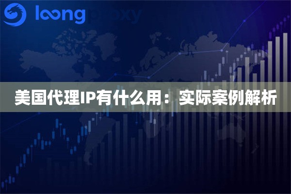 美国代理IP有什么用:实际案例解析 美国代理IP有什么用:实际案例解析