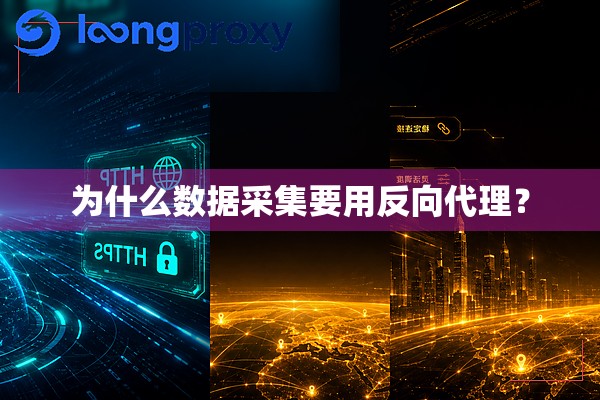 为什么数据采集要用反向代理? 为什么数据采集要用反向代理?