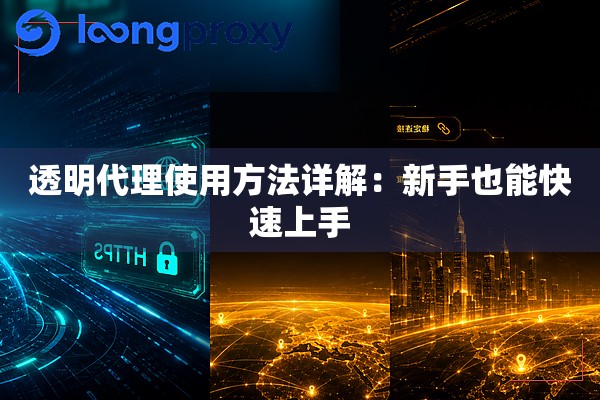 透明代理使用方法详解：新手也能快速上手