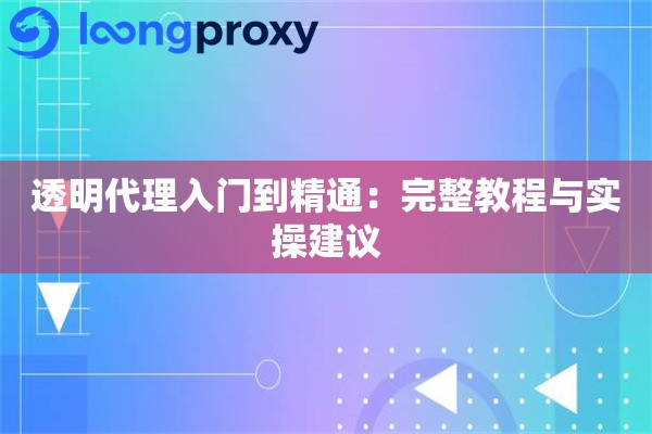 透明代理入门到精通：完整教程与实操建议