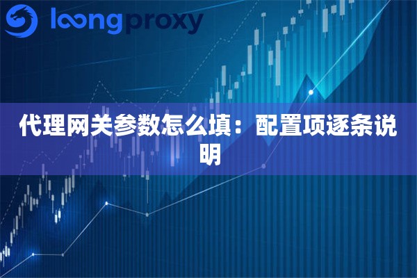 代理网关参数怎么填:配置项逐条说明 代理网关参数怎么填:配置项逐条说明