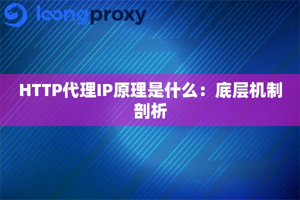 HTTP代理IP原理是什么:底层机制剖析 HTTP代理IP原理是什么:底层机制剖析