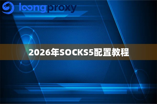 2026年SOCKS5配置教程