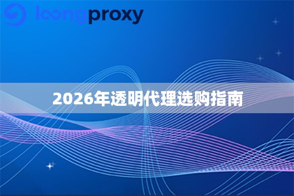 2026年透明代理选购指南