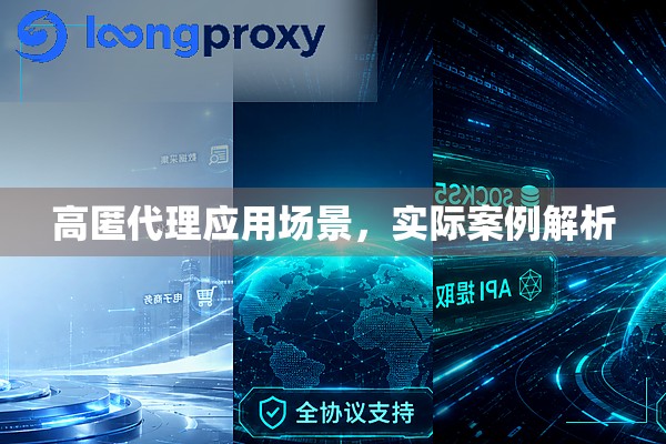 高匿代理应用场景,实际案例解析 高匿代理应用场景,实际案例解析