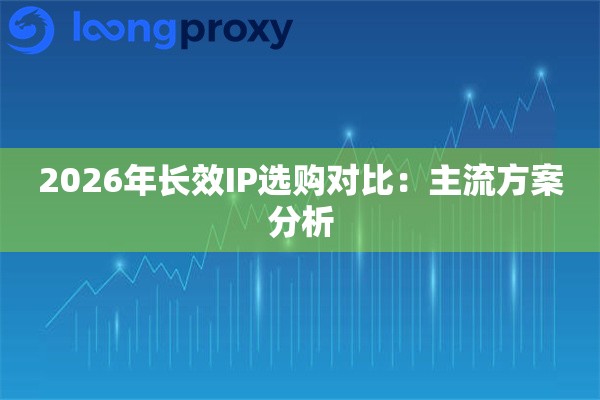 2026年长效IP选购对比:主流方案分析 2026年长效IP选购对比:主流方案分析