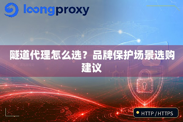 隧道代理怎么选？品牌保护场景选购建议