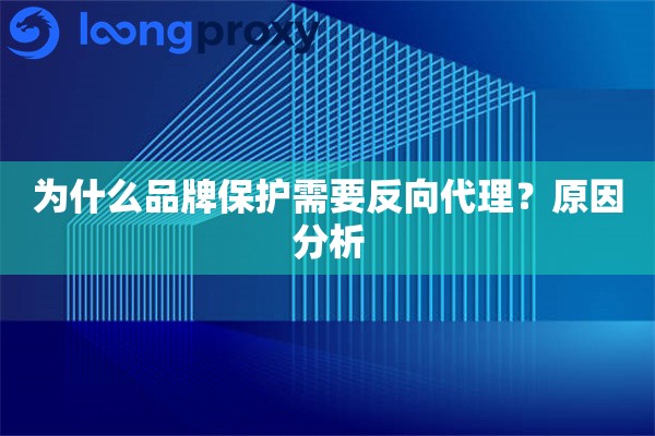 为什么品牌保护需要反向代理？原因分析