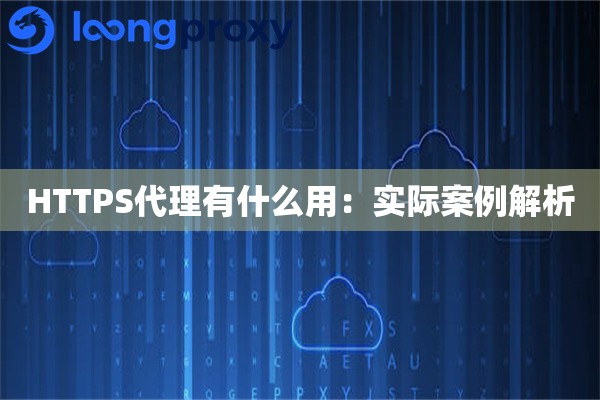 HTTPS代理有什么用:实际案例解析 HTTPS代理有什么用:实际案例解析