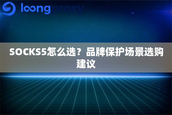 SOCKS5怎么选?品牌保护场景选购建议 SOCKS5怎么选?品牌保护场景选购建议