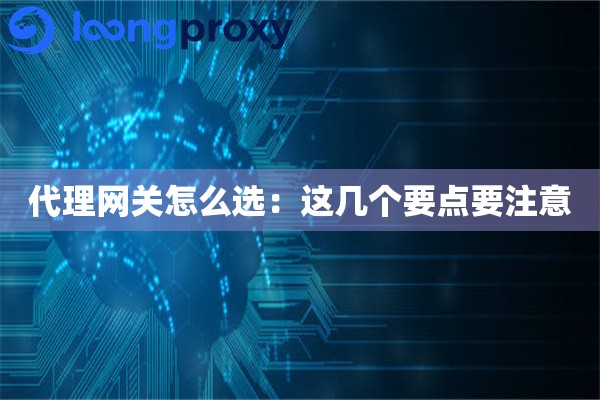 代理网关怎么选:这几个要点要注意 代理网关怎么选:这几个要点要注意