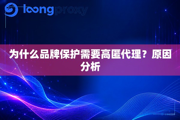 为什么品牌保护需要高匿代理?原因分析 为什么品牌保护需要高匿代理?原因分析