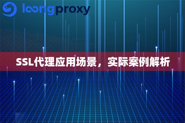 SSL代理应用场景,实际案例解析 SSL代理应用场景,实际案例解析