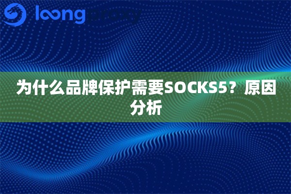 为什么品牌保护需要SOCKS5？原因分析