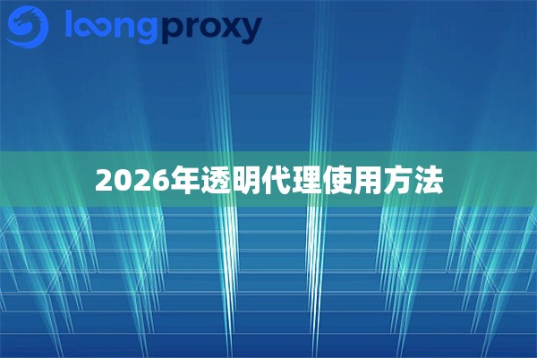 2026年透明代理使用方法