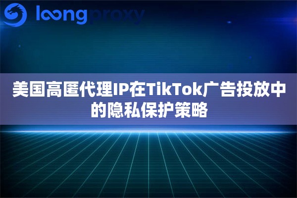 美国高匿代理IP在TikTok广告投放中的隐私保护策略