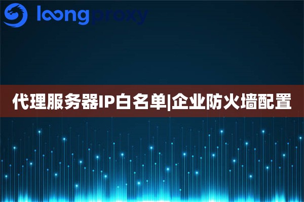 代理服务器IP白名单|企业防火墙配置