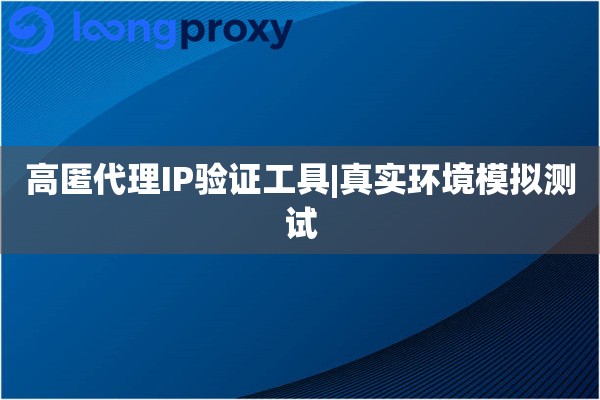 高匿代理IP验证工具|真实环境模拟测试