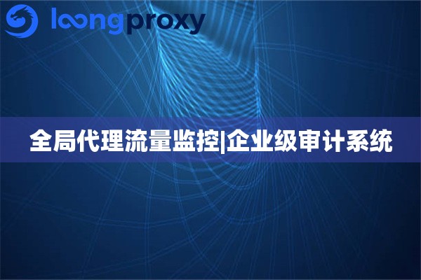 全局代理流量监控|企业级审计系统