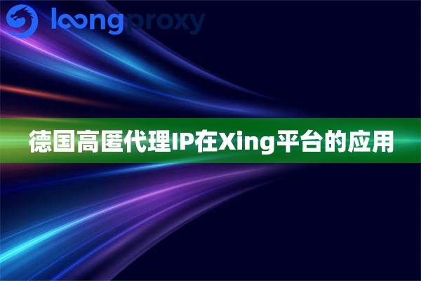 德国高匿代理IP在Xing平台的应用
