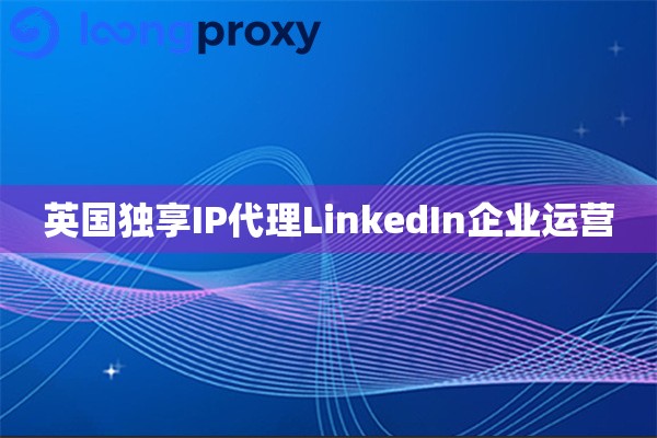 英国独享IP代理LinkedIn企业运营