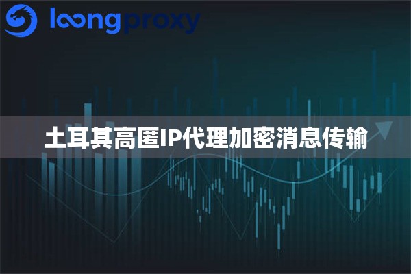 土耳其高匿IP代理加密消息传输