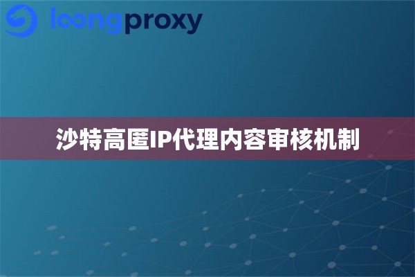 沙特高匿IP代理内容审核机制
