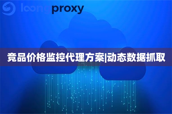 竞品价格监控代理方案|动态数据抓取