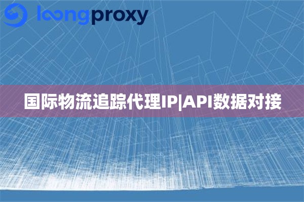 国际物流追踪代理IP|API数据对接