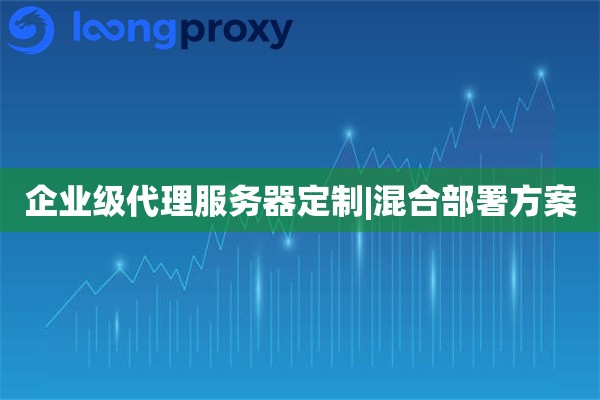 企业级代理服务器定制|混合部署方案