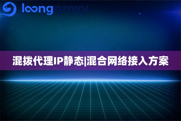 混拨代理IP静态|混合网络接入方案