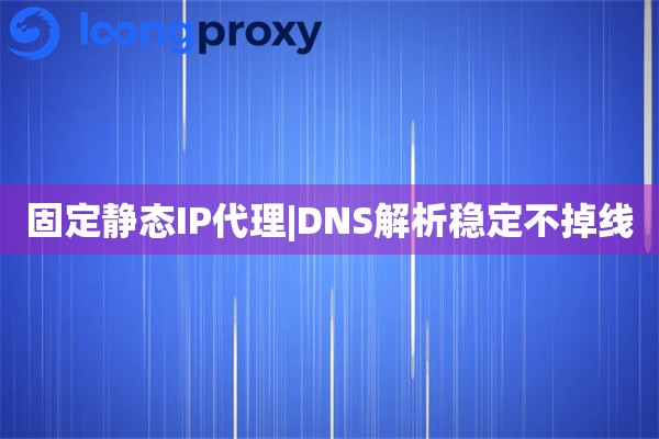 固定静态IP代理|DNS解析稳定不掉线