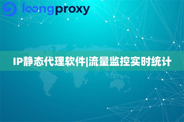 IP静态代理软件|流量监控实时统计