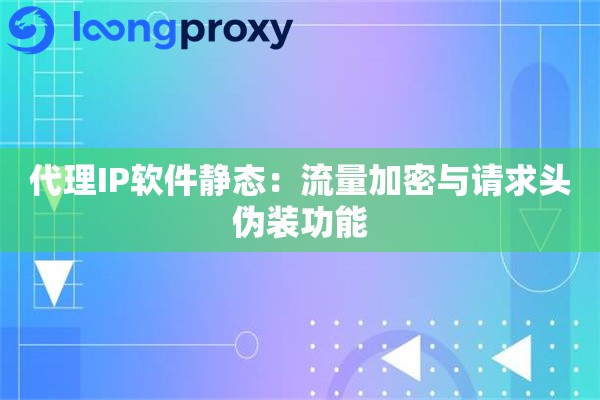代理IP软件静态：流量加密与请求头伪装功能