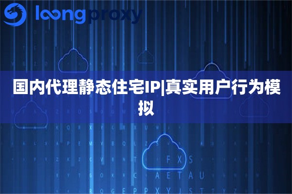 国内代理静态住宅IP|真实用户行为模拟